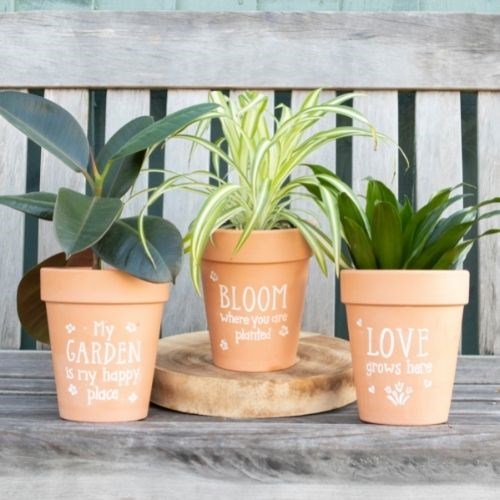 Wholesale Plant Pots.jpg